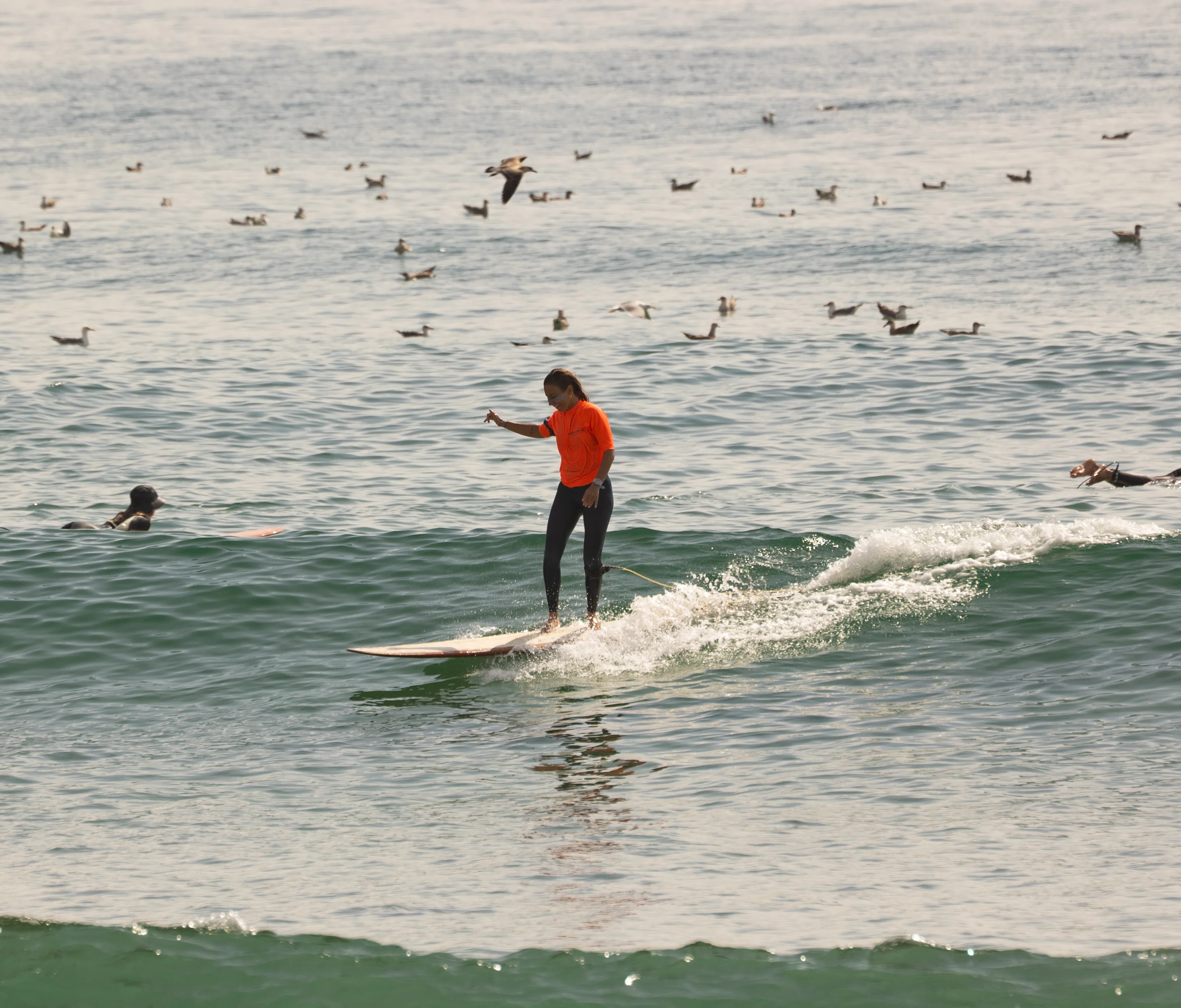 Longboard Classes